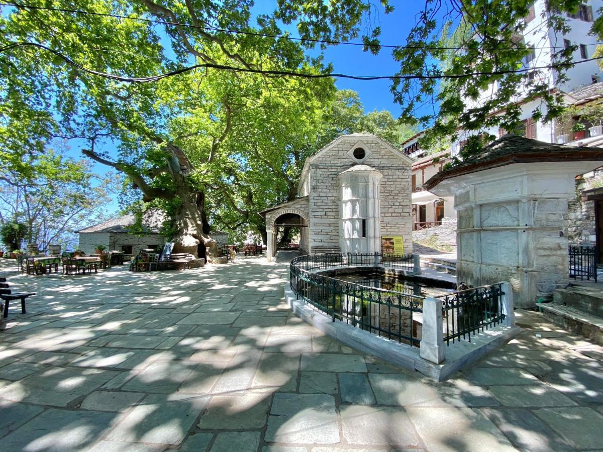 Hotel Archontika Karamarlis à Makrinítsa Extérieur photo
