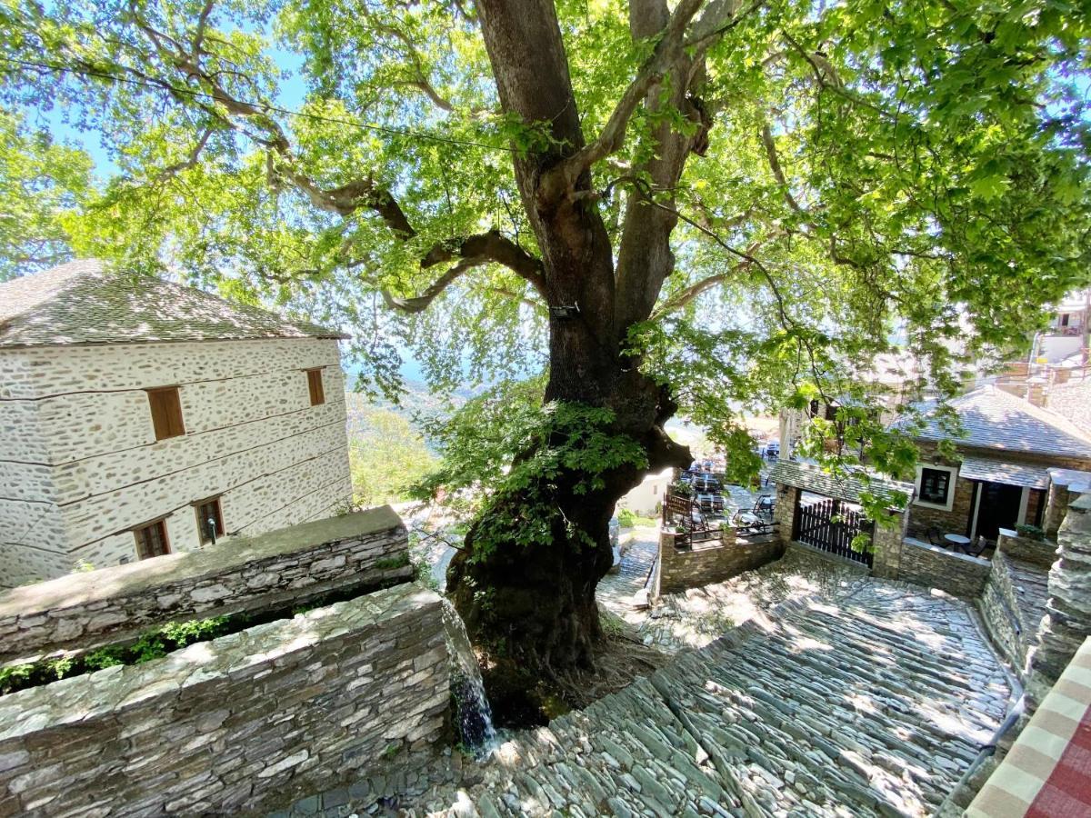 Hotel Archontika Karamarlis à Makrinítsa Extérieur photo